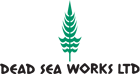  DEAD SEA WORKS LTD